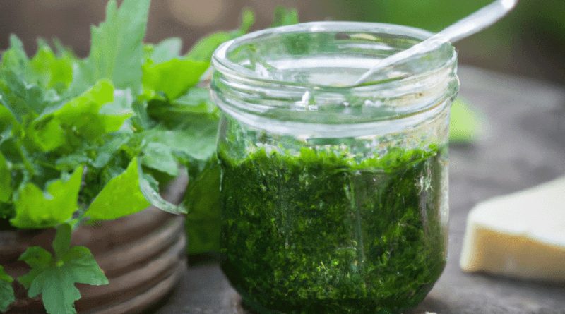 Brennnessel-Pesto mit Wahlnüssen