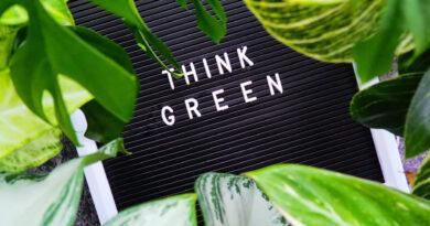 Grünes Denken