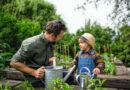 Nachhaltig den Garten gestalten