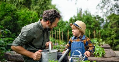 Nachhaltig den Garten gestalten