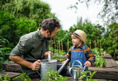 Nachhaltig den Garten gestalten