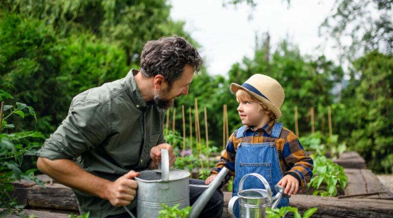 Nachhaltig den Garten gestalten