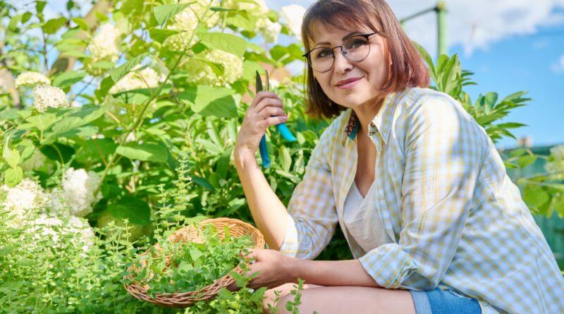 Kräuterspirale einfach selber bauen