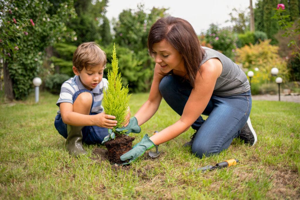 CO2-Reduktion 2024: Nachhaltige Strategien für den heimischen Garten