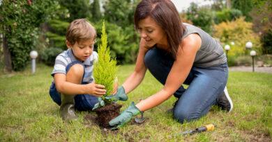 Grüne Gartenlandschaft für CO2-Reduktion