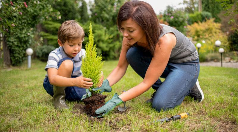 Grüne Gartenlandschaft für CO2-Reduktion